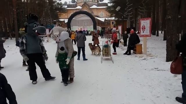 Катание на хасках в резиденции деда Мороза смотреть онлайн