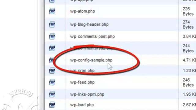 Сайт WordPress. Как залить файлы на хостиг через cPanel смотреть онлайн