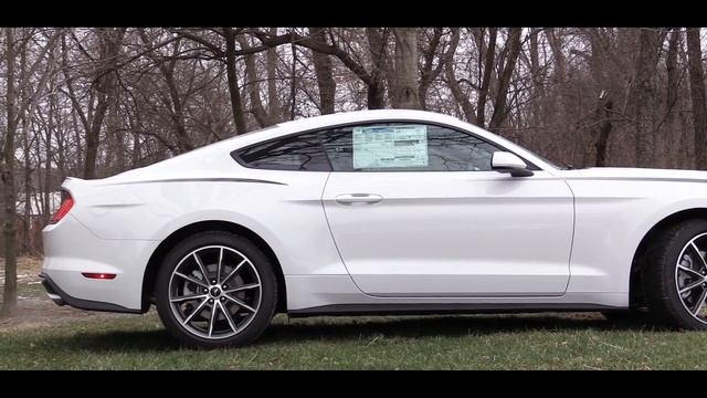 2019 Ford Mustang Ecoboost: Review смотреть онлайн