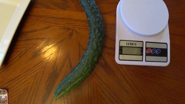 ОГУРЕЧНОЕ ЧУДО. Китайский огурец. смотреть онлайн