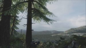 WOLFGANG BORCHERT  Вольфганг Борхерт - NACHTS SCHLAFEN DIE RATTEN DOCH