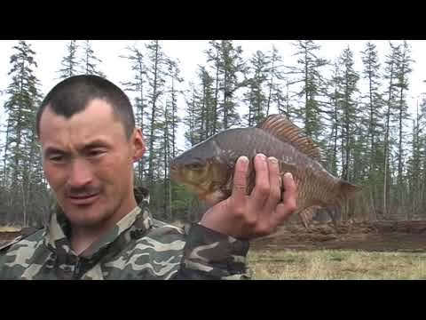 ЯКУТИЯ, АБЫЙСКИЙ Р-Н - ОХОТА НА УТКУ 2006 ГОДА АРХИВ