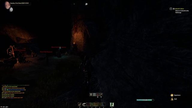 The Elder Scrolls Online Episode 181 The Rift Worm Cult Summoner & Cadwell's Silver смотреть онлайн