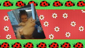 Божья  коровка.Детская песенка божья коровка