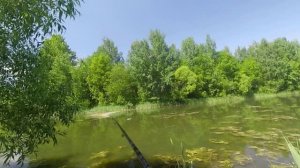 Рыбалка на карася в Санкт-Петербурге