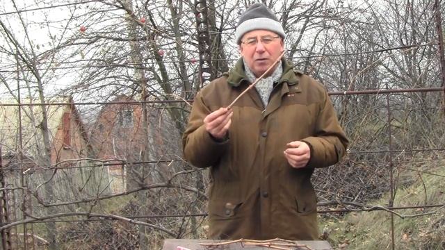 Начинающим. Посадка винограда черенком осенью смотреть онлайн