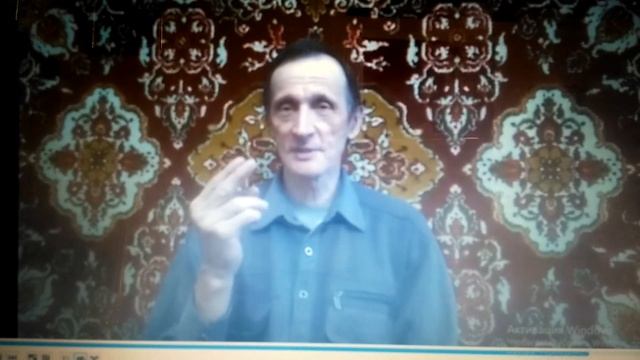 Как живут и качают кровь киты и дельфины под водой! смотреть онлайн