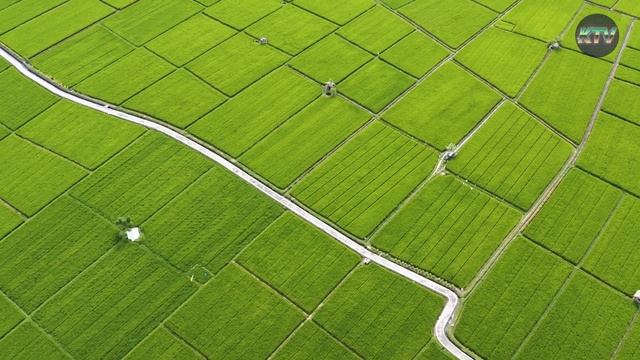 Индонезия жонундо кызыктуу фактылар | Бали аралынын кандай сырлары бар? смотреть онлайн