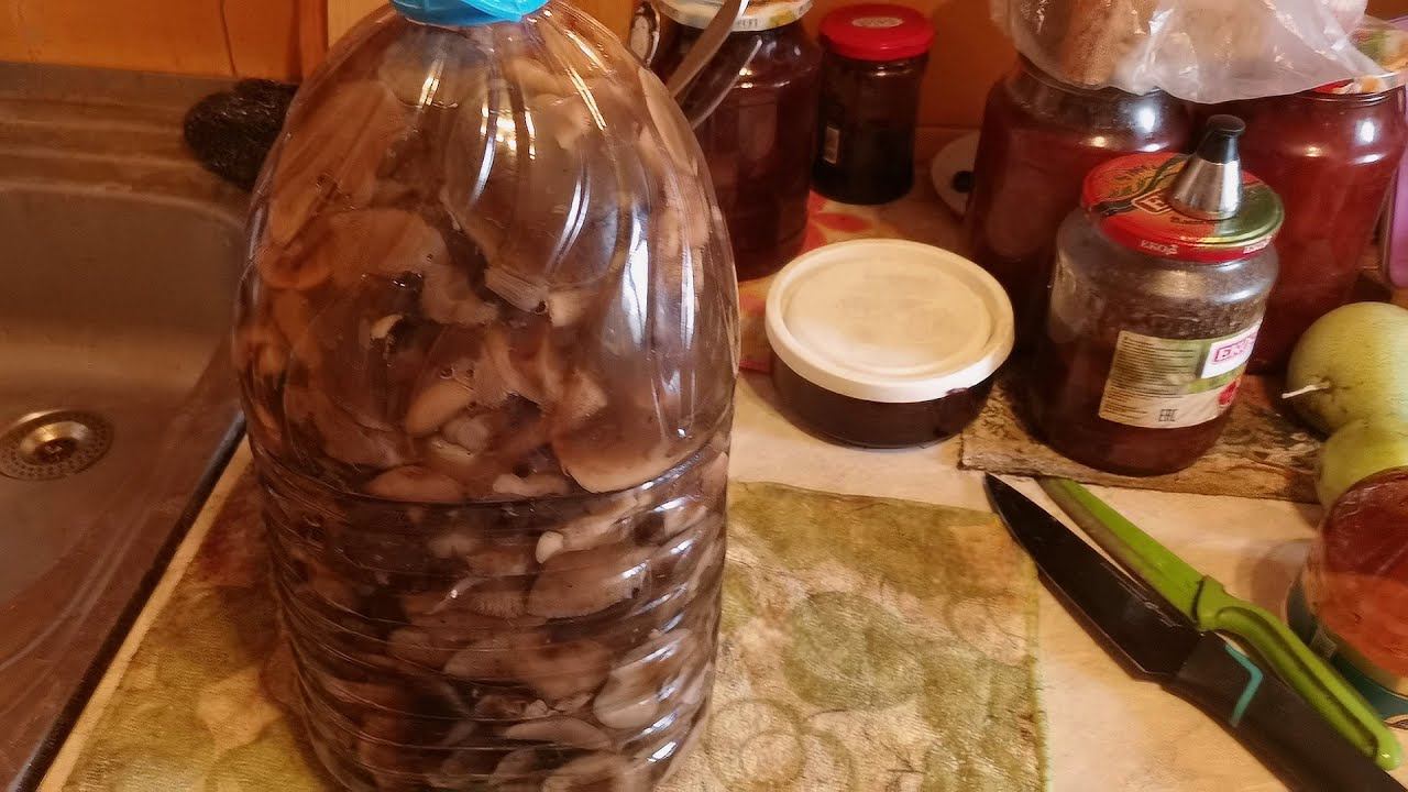 Грибы на кухне собраны 20 сентября, замаринованы, раскладываем по банкам 21 сентября 2023