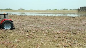 Красный трактор с прицепом вытаскивает самосвал из лужи