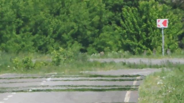 Olympus OM-D E-M1 Mark II + 75-300 Общее увеличение примерно1600 крат. смотреть онлайн