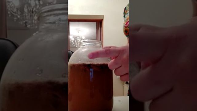 Как приготовить орех Мохилхин часть 2 смотреть онлайн