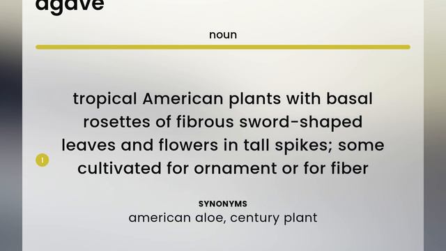 Agave — AGAVE meaning смотреть онлайн