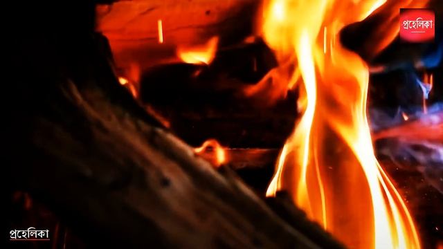 হঠাৎ পৃথিবীর সব অক্সিজেন যদি শেষ হয়ে যায়, তাহলে কি হবে | What will happen our health without oxygen смотреть онлайн