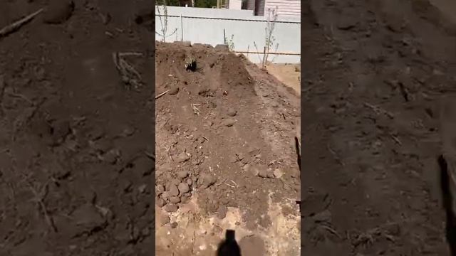 Плодородка, верхний слой земли смотреть онлайн