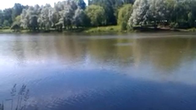 местный датый мастер класс вдх Лошица Минск смотреть онлайн