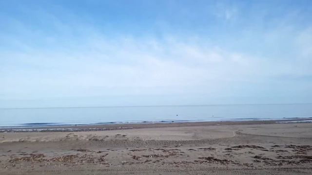 чайки океан смотреть онлайн