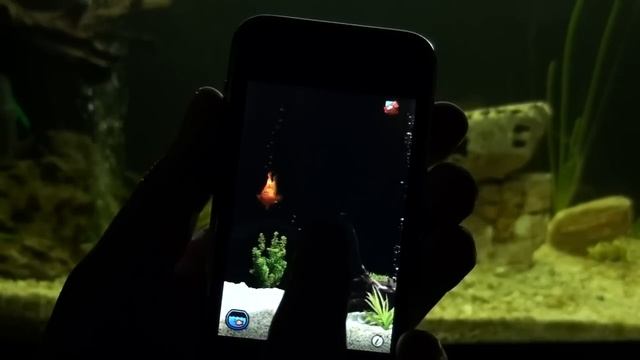 iQuarium - virtual aquarium for iPhone/iPod Touch HD смотреть онлайн