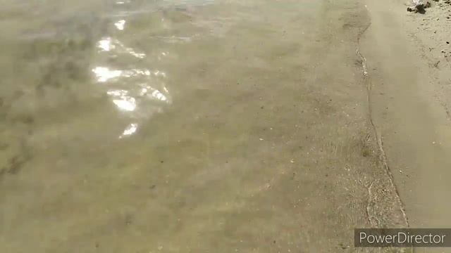 Соленое озеро (г.Батайск). Подробный обзор. Цены. Прогулка по пляжу.