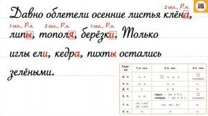 Упражнение 184, стр 104. Русский язык 4 класс, часть 1.