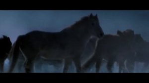 ВИТАЛИЙ ВОЛК- ВОЛЧЬЯ ДОЛЯ