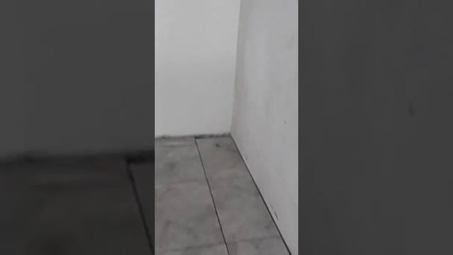 Ремонт лестницы смотреть онлайн