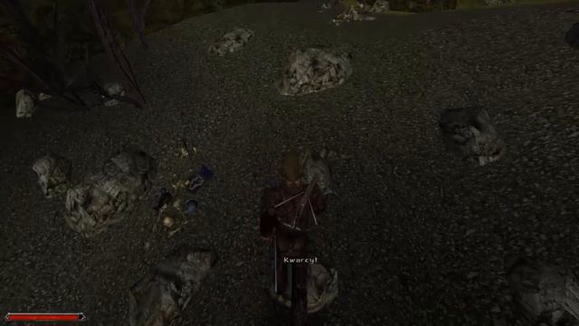 Zagrajmy w Gothic 2 Noc Kruka Odc.13 - Ornament Laresa смотреть онлайн