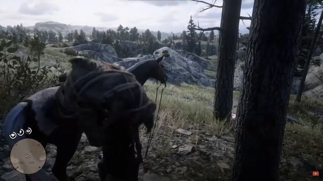 Топ 15 советов для RDR 2 #1