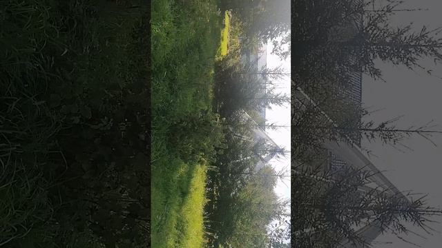 "Инструменты успеха" - моя любимая книга МНШУ, Марина Лямцева (г.Саранск. ИУУ)