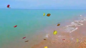 "Взрослая дочь" трогательное стихотворение о маме о дочке