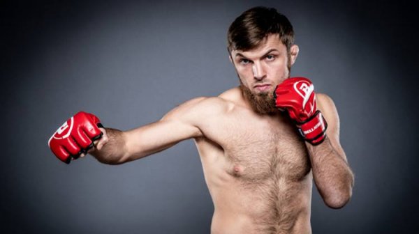 Мага тигр у нас в гостях