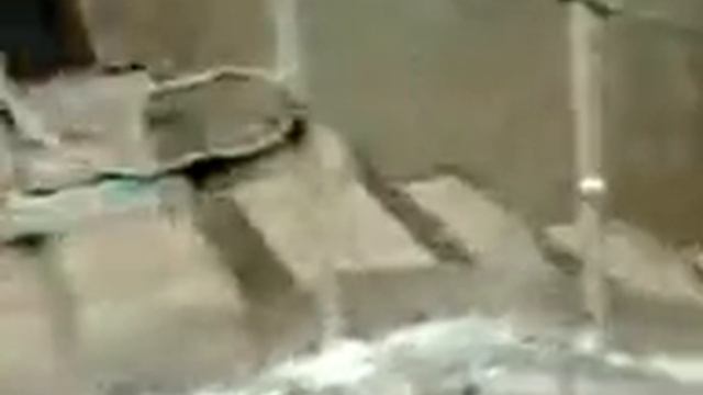 Крыльцо подъезда №4 смотреть онлайн