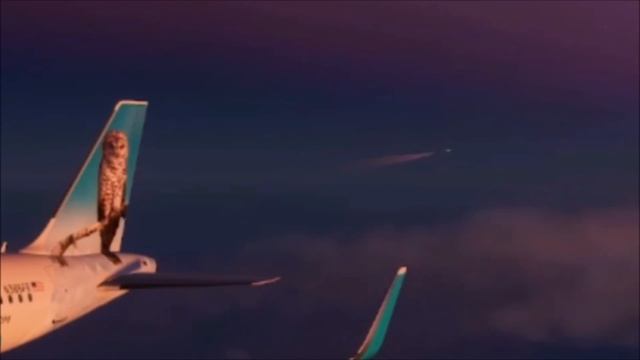 Witnessing a CRASH in Microsoft Flight Simulator! (VATSIM) RIP JetBlue A320 смотреть онлайн