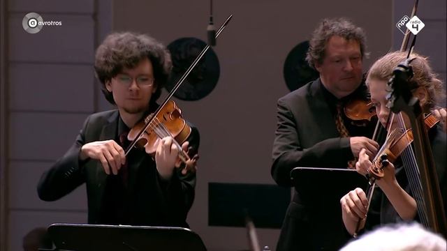 Vivaldi: Concerto for strings RV 158 - Concerto Köln led by Evgeny Sviridov - Live Concert HD смотреть онлайн