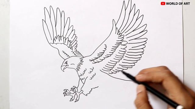 How To Draw An Eagle | How to draw a Eagle easy step by step смотреть онлайн