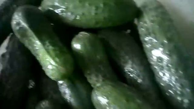 Живо за ОГУРЦАМИ!! смотреть онлайн