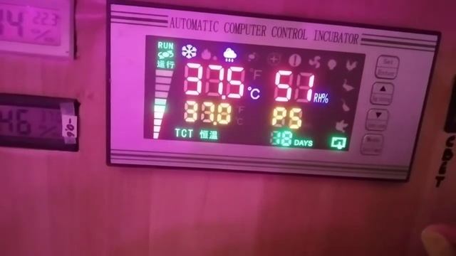 Растёт температура в инкубаторе. Почему?... смотреть онлайн