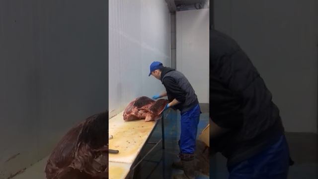 Моя работа такая постоянно смотреть онлайн