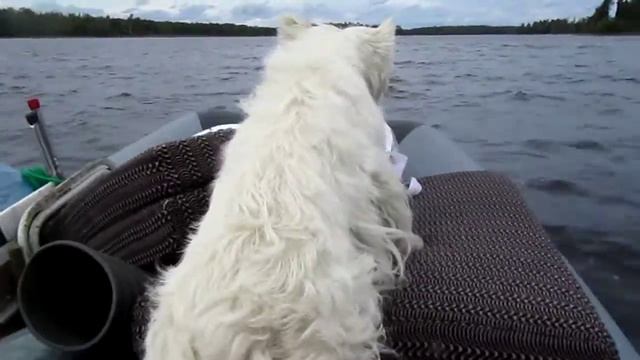 мягкий вагон 2 смотреть онлайн