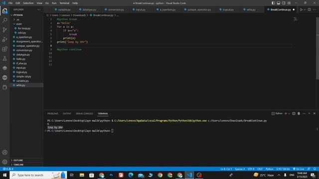 21.Python Break and Continue Statements Explained with Examples смотреть онлайн