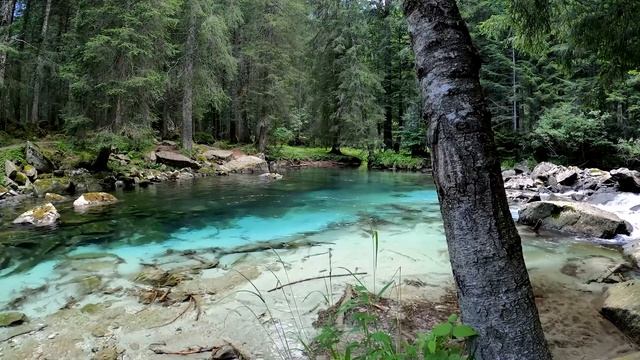 Красивое озеро в лесу для сна. смотреть онлайн