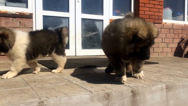Изображение 359 смотреть онлайн