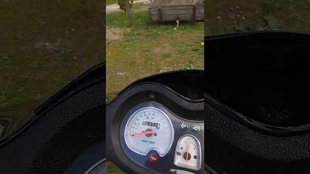Запуск скутера irbis lx 50cc смотреть онлайн