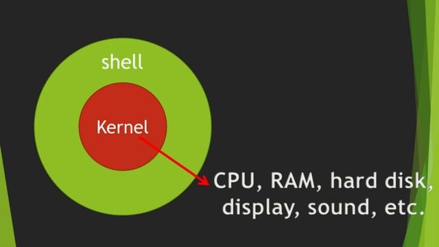 What is Shell? смотреть онлайн