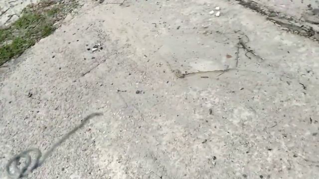 Поиск Металолома без метало искатель Где найти цветмет|Жук Искатель смотреть онлайн