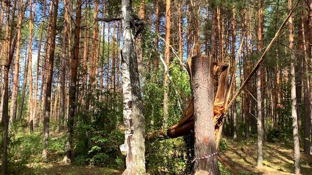 Стихия. Отдых превратился в ад смотреть онлайн