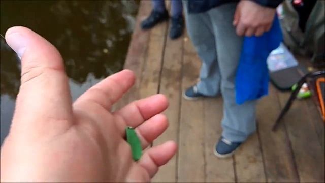 Форель клюёт и на железо, и на резину. смотреть онлайн