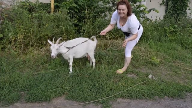 Отель трасса Дон! смотреть онлайн