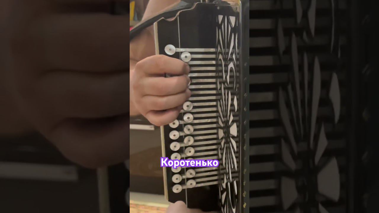 Проигрыш между частушками #дмитрийгармонист #дмитрийразборы #частушки смотреть онлайн