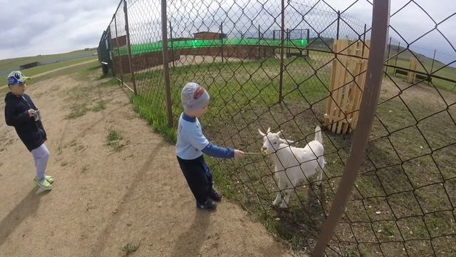спецкор - Роман Артёмович (Мараловое поместье, май 2017) смотреть онлайн